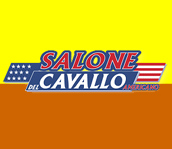 Reggio emilia - salone del cavallo americano